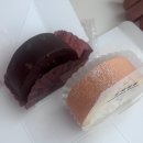 몽슈슈현대미아점 | 미아 현대백화점 도지마롤 케이크 맛집 몽슈슈