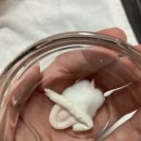 머물다 ▼여수 이미지