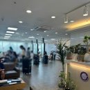 착한염색 | 진해 미용실 추천 가성비 좋은 창원 착한미용실 진해점 염색 후기