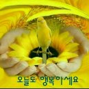 솜씨방 - 제천시 풍양로 108 | 솜씨방