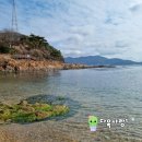 토영이야~길(2코스-미륵도길) | 통영여행 - 이순신공원 토영 이야~길, 연화 고등어 전갱이에서 고등어회와 전갱이회 맛보기