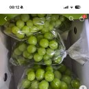 진짜 저렴하네요 샤인머스캣 2kg 9700 이미지