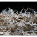 언덕위의집 이미지