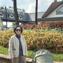 사랑의교회수양관 | [경기도_안성]당일치기 4살, 8개월 아기랑 농협안성팜월드, 약수터식당, 사랑의교회 안성수양관