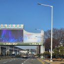 현대동물병원(출장진료전문병원) | 김해공항에서 광주 콜밴 예약 운행 후기