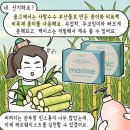 9매하자 네이버블로그