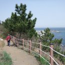 칠포2리 이미지