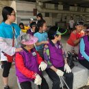 연세초등학교 이미지