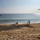 영덕공인중개사사무소 이미지