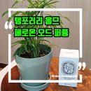 (주)더블유비스킨 이미지