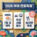 부여여자고등학교 | 부여 서동연꽃축제 기간 및 주차 정보 · 충남 여행지, 2026년 꼭 확인할 핵심