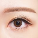 렌즈모아 이미지