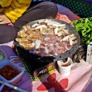 황촌리 Daum카페