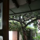 와촌손칼국시 이미지