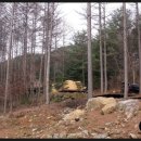 청옥산휴양림 이미지