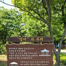 알미공원(중) 이미지