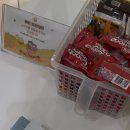 퓨어코스메틱 | 밀본 컬러 스탠다드 디플로마 교육 1회차 퓨어코스메틱 부개 후기!