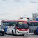 수원-1186 이미지