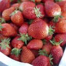 중장농장 이미지