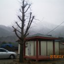 도원1리마을회관 이미지