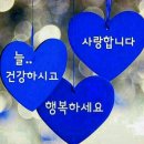 채령님 저도 왔어요 이미지