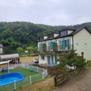 맘앤독스 이미지