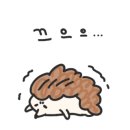 하나이비인후과