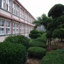 예림초등학교 이미지