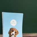 운양고등학교 이미지