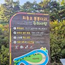 회룡포마을 | 예천 가볼만한곳 회룡포마을 뿅뿅다리 산책하기 딱 좋음!