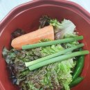 장성일식 이미지