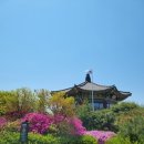 와룡공원 이미지