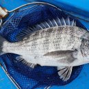 고고펜션 이미지