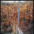 바우농장2 이미지