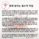 불교의 핵심사상/영체 분리는 필수적 작업 이미지