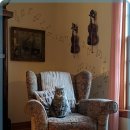 일산시티 동물의료센터 이미지