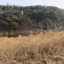 서들1길 이미지