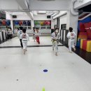 용인대 k-타이거즈 태권도장 이미지