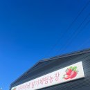 다인자동차 | 내돈내산 후기｜아이와 즐긴 딸기 체험+놀이, 다인이네 딸기농장 다녀왔어요