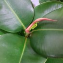 중앙고무 이미지