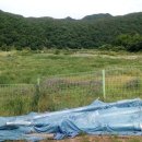 방리경로당 이미지