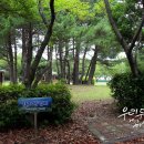 도립서귀포관악단 69회 정기연주회 이미지