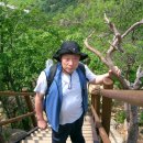 신명중학교 이미지