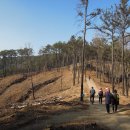 화서 사거리1 이미지