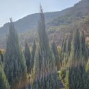 태림농장 이미지