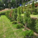 안식목장 이미지