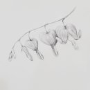 마음의 쉼, 보태니컬 아트 이미지