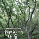 작은숲 이미지