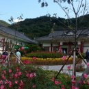 전라남도산림박물관 이미지