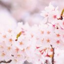 와이투짐 단대점 이미지